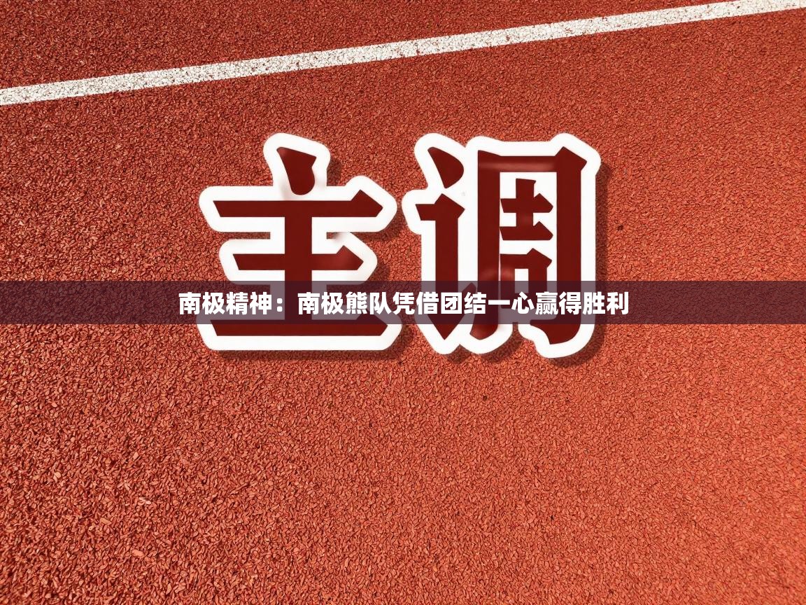 南极精神:南极熊队凭借团结一心赢得胜利 第1张