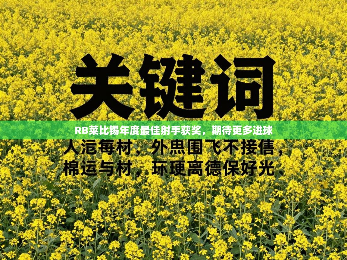 RB莱比锡年度最佳射手获奖,期待更多进球 第2张